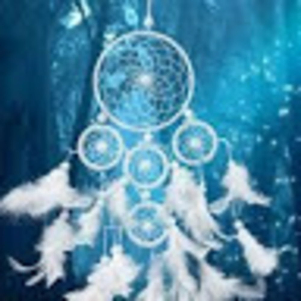 Meet your Posher, Dreamcatcher